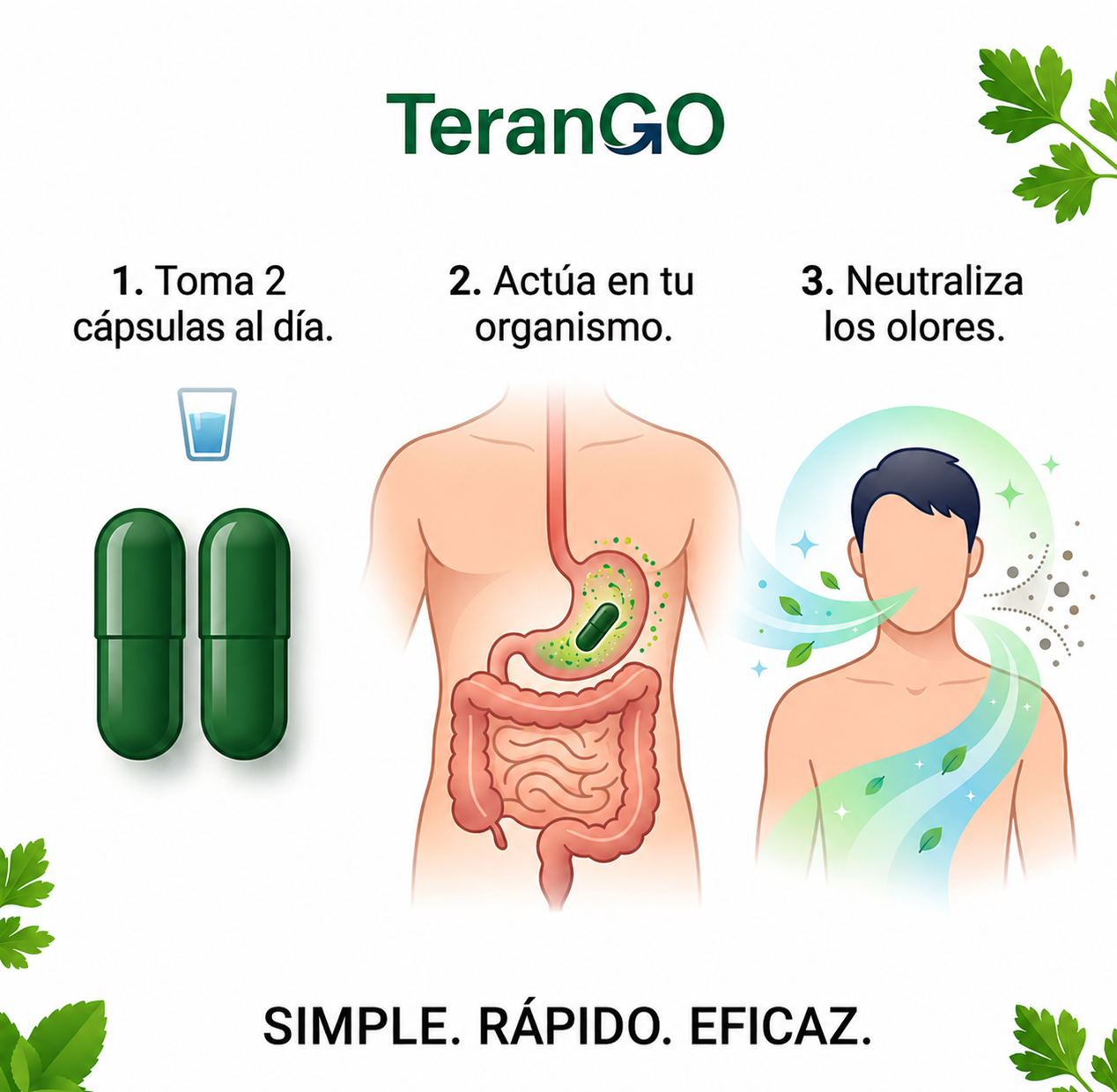 TeranGO Antiolor